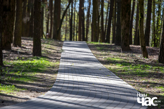 5/5 szljah_szprota_park_czaljuskinicau_dzmitryeu_dzmitryj_novy_czas_____5__logo.jpg