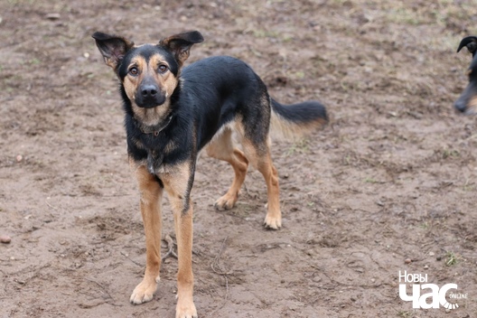 t9uubszljug_logo.jpg t9uubszljug_logo.jpg