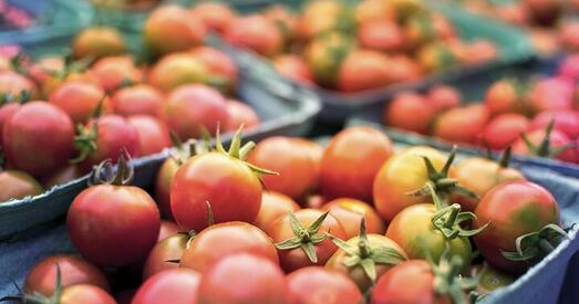 Качанава і цэны