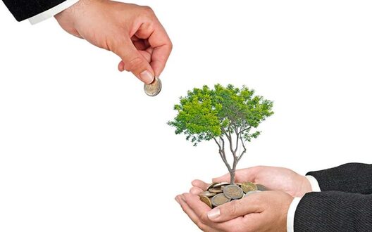 Фота torg94.ru Фота torg94.ru