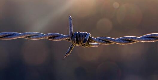 Фота: pixabay.com Фота: pixabay.com