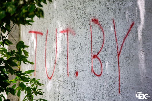 tut_2_1_logo.jpg.webp tut_2_1_logo.jpg.webp