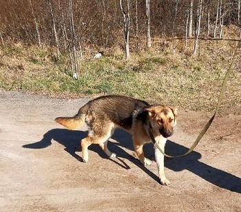 tvbdlou_s68__1__logo.jpg tvbdlou_s68__1__logo.jpg