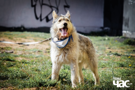 tzj_bhglzji_logo.jpg tzj_bhglzji_logo.jpg