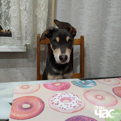 uifw12rwe50_logo.jpg uifw12rwe50_logo.jpg