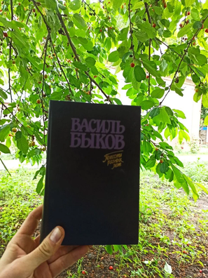 Асобнік кнігі Васіля Быкава, які пазычыў беларускі добраахвотнік у гаспадароў дома, дзе чакаў баявога задання. Фота: асабісты архіў Сяргея Асобнік кнігі Васіля Быкава, які пазычыў беларускі добраахвотнік у гаспадароў дома, дзе чакаў баявога задання. Фота: асабісты архіў Сяргея
