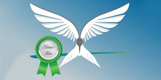 unnamed__4__11.jpg unnamed__4__11.jpg