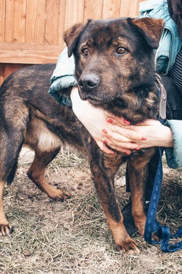 uow49kjenag_logo.jpg uow49kjenag_logo.jpg