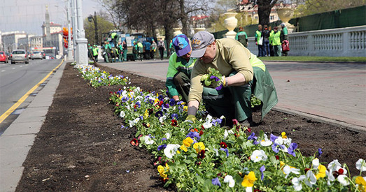 У Мінску да Еўрагульняў высадзяць кветак на 10 млн рублёў