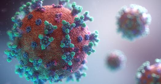 Беларуская вакцына ад каронавіруса праходзіць даклінічныя выпрабаванні