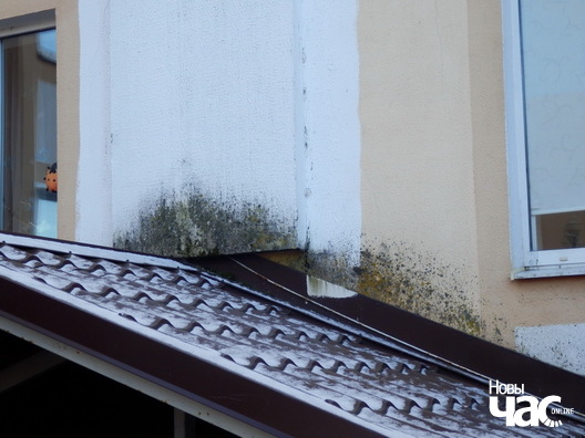 9/10 volha_sauczyna_dzijana_seradzjuk__7__logo.jpg