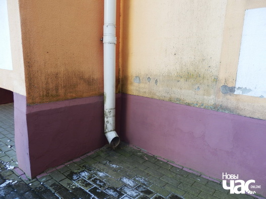 3/10 volha_sauczyna_dzijana_seradzjuk__9__logo.jpg