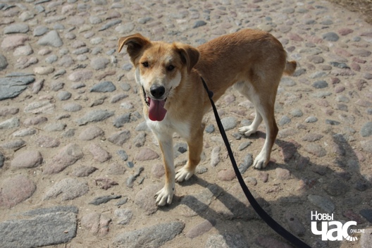 vy7ylwywhju_logo.jpg vy7ylwywhju_logo.jpg