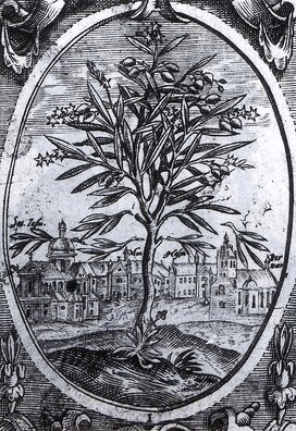 Выгляд касцёла, 1604 год Выгляд касцёла, 1604 год