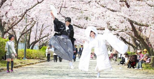 wedding_clothes.jpg wedding_clothes.jpg
