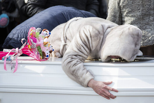 Здымак Reuters Здымак Reuters