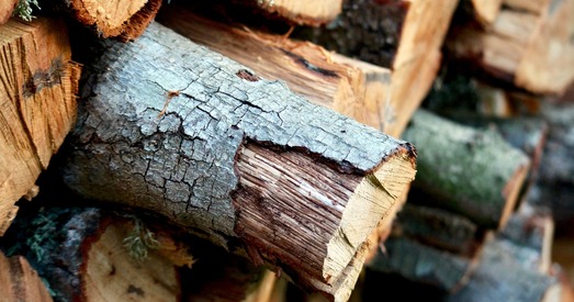 Чаму мы гаворым пра беларускія грошы — «драўляныя»?