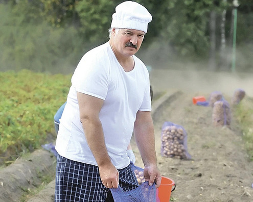 wr_750__1__1.jpg wr_750__1__1.jpg