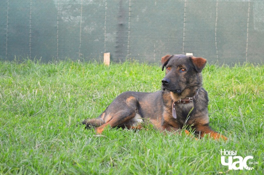 wvrztb1ykwu_logo.jpg wvrztb1ykwu_logo.jpg