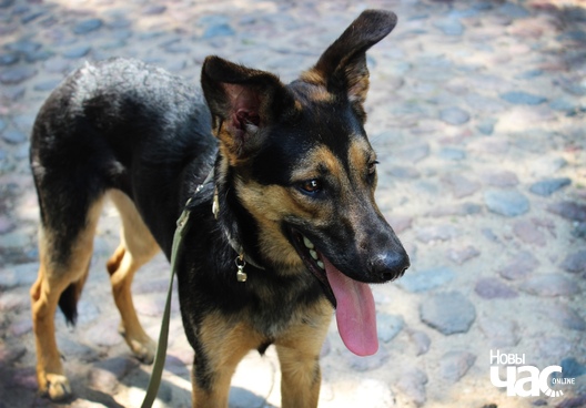 xek6oco53uc_logo.jpg xek6oco53uc_logo.jpg