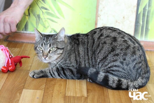 xh1oiizoh3m_logo.jpg xh1oiizoh3m_logo.jpg