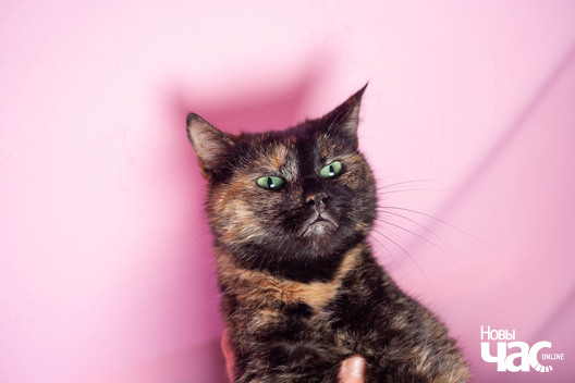 5/11 xq9r1619_logo.jpg