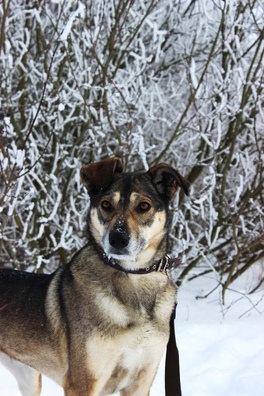 xudpl0gkltc_logo.jpg xudpl0gkltc_logo.jpg