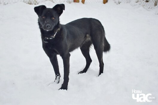 zo0wusaiulk_logo.jpg zo0wusaiulk_logo.jpg