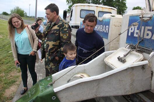 Фота dzyannica.by Фота dzyannica.by