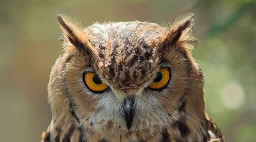 000023_191125_big.jpg 000023_191125_big.jpg