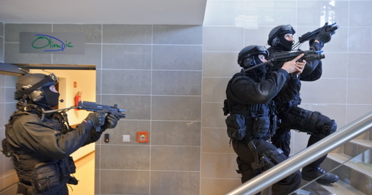 Польшча. Толькі сілай трэба адказваць на тэракты