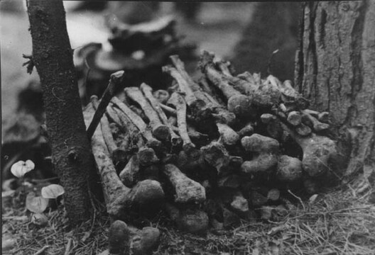 14_001_04.jpg 14_001_04.jpg