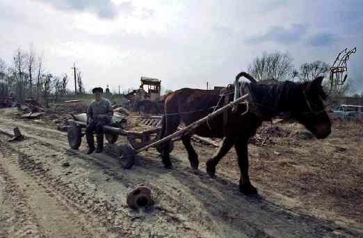 3be0214185d6177a9aa6adea5a720b09.jpg 3be0214185d6177a9aa6adea5a720b09.jpg