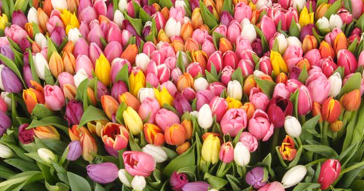 8 сакавіка — свята ці фармальнасць?