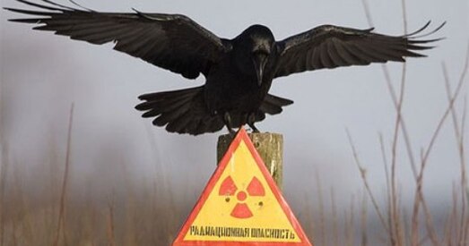 Дзяржава паглыбляе наступствы Чарнобыля