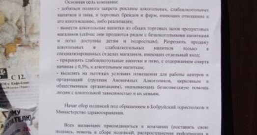 У Бабруйску заклікалі падтрымаць антыалкагольную кампанію (фота)