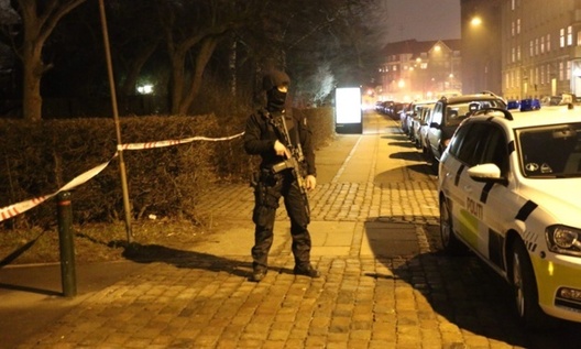 copenhagen_armed_cop.jpg copenhagen_armed_cop.jpg