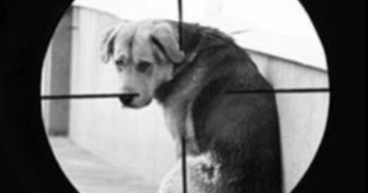 Расія. Дэпутаты прапанавалі саджаць догхантэраў у турму