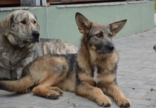 dsc_0467.jpg dsc_0467.jpg