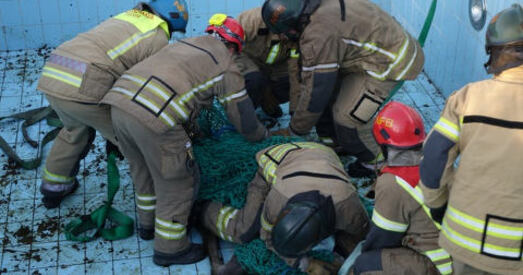 У нарвежскім гарадку Сіггеруд усім мірам ратавалі ласянё