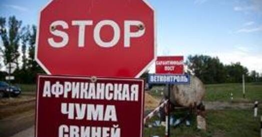 Пад Кіевам — эпідэміялагічная катастрофа