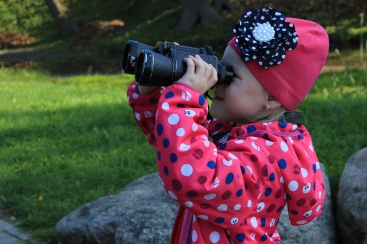 get_img3456.jpg get_img3456.jpg