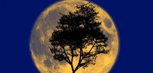 hq_wallpapers_ru_nature_2331_1680x1050_833x400.jpg hq_wallpapers_ru_nature_2331_1680x1050_833x400.jpg