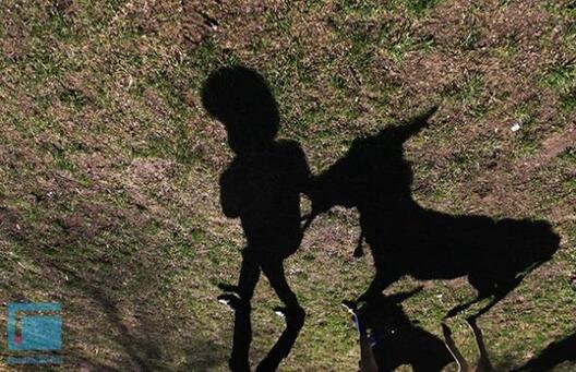 hrodna_aslinaje_shou.jpg hrodna_aslinaje_shou.jpg