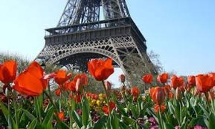 images32.jpg images32.jpg