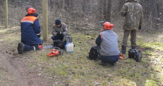 Да 9 красавіка мяркуецца завяршыць санітарную ачыстку 19 гектараў Курапацкага лесу