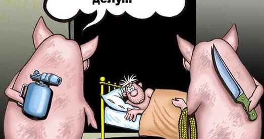 Свіней усыпляюць няякаснымі ўколамі — дабіваюць кувалдамі