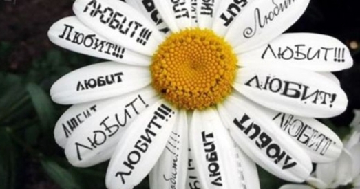 Гульня ў «веру — не веру»