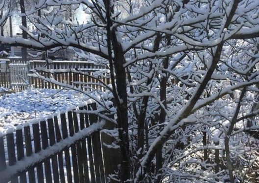 orsha_snieh.jpg orsha_snieh.jpg