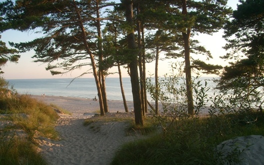 palanha_logo.jpg palanha_logo.jpg